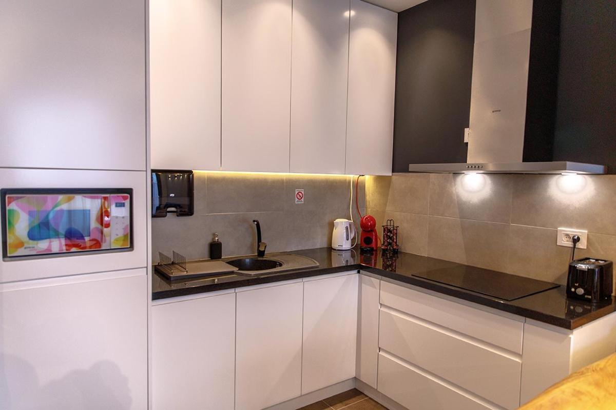Dali Apartments Pupin Palace ノヴィ・サド 部屋 写真